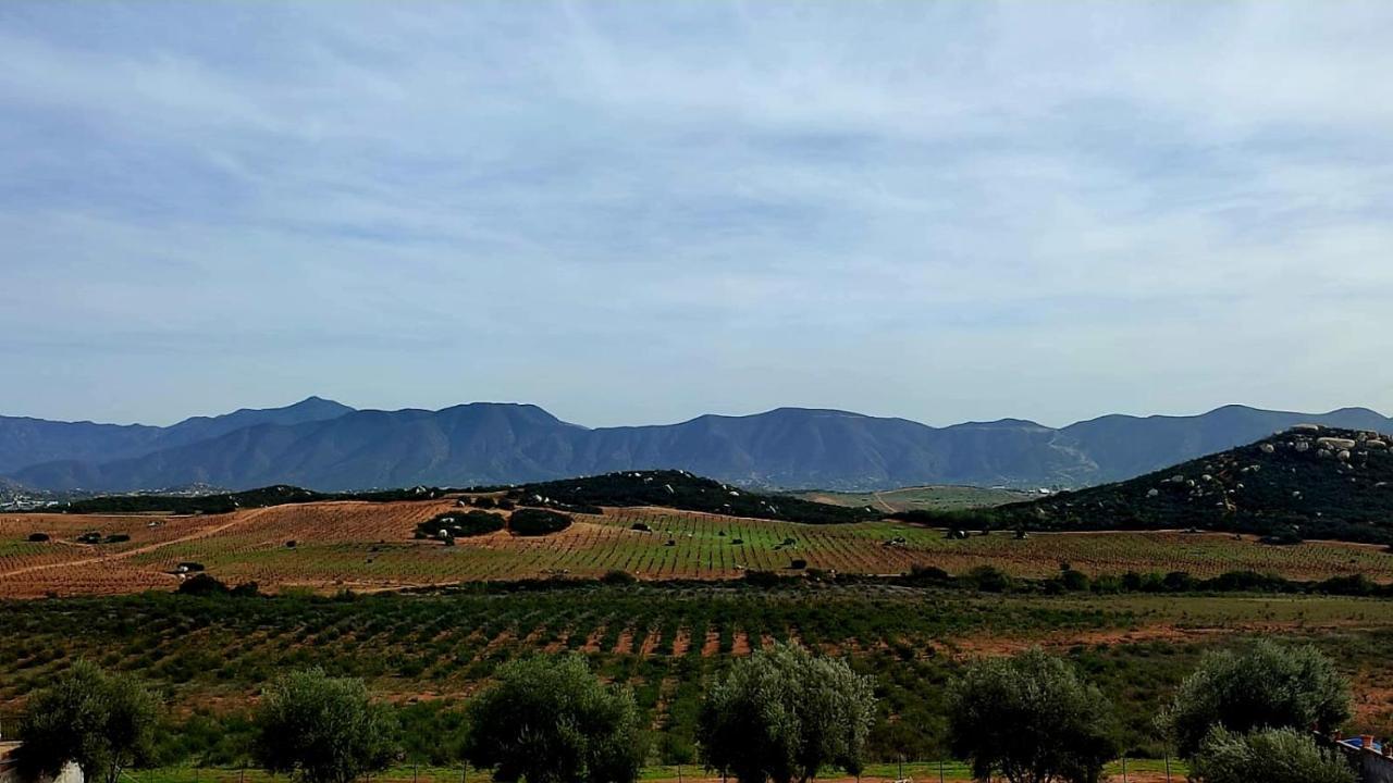 D'Vino Valle De Guadalupe Ensenada Exterior foto